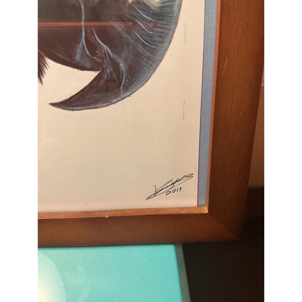 Signed 2019 Macaw Parrot Portrait Art on Kodak Film Framed 10x13 Tropical Bird - Picture 2 of 7